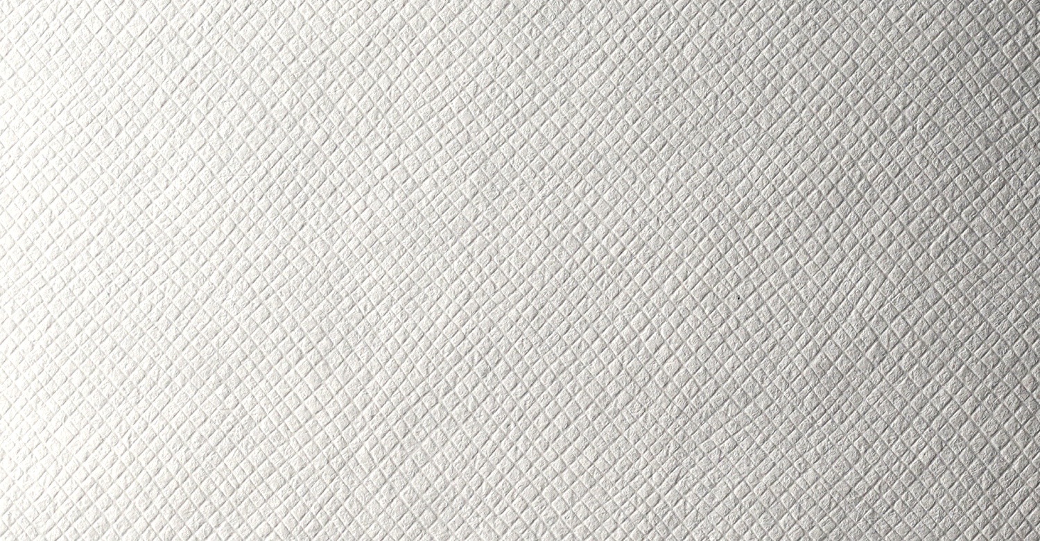 Avalon White Cotton paper texture
